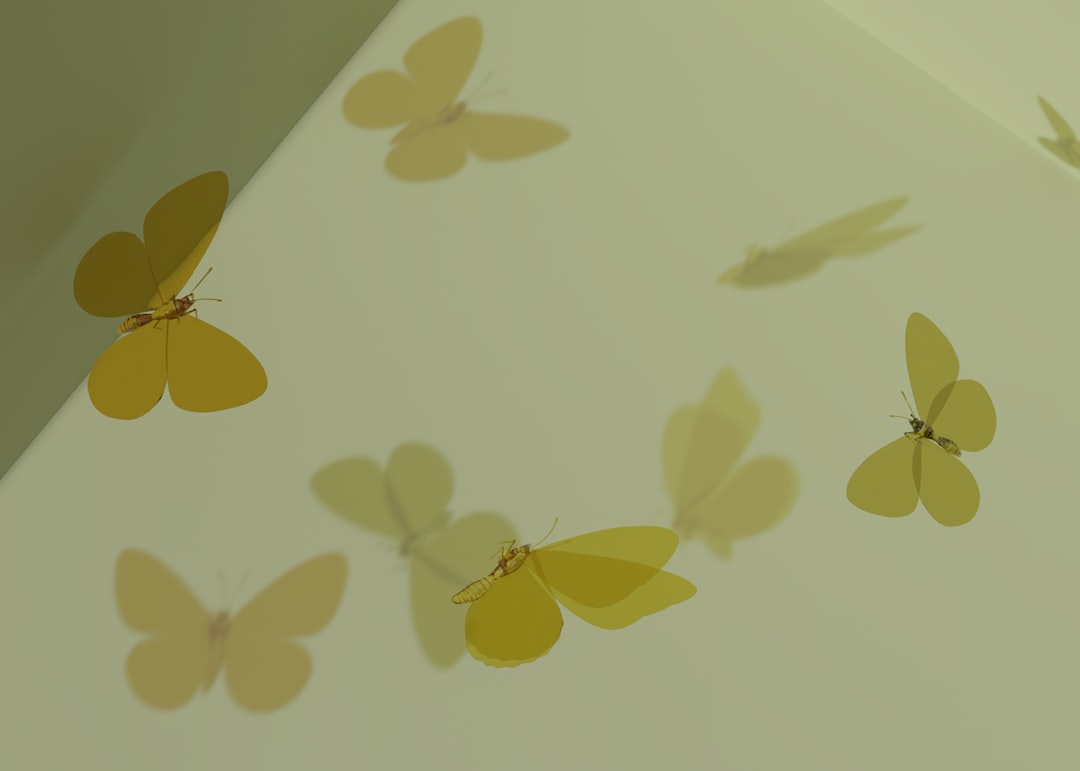 Photo Web Animations